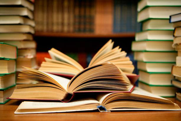 LINGUA PORTUGUESA E LITERATURA BRASILEIRA 